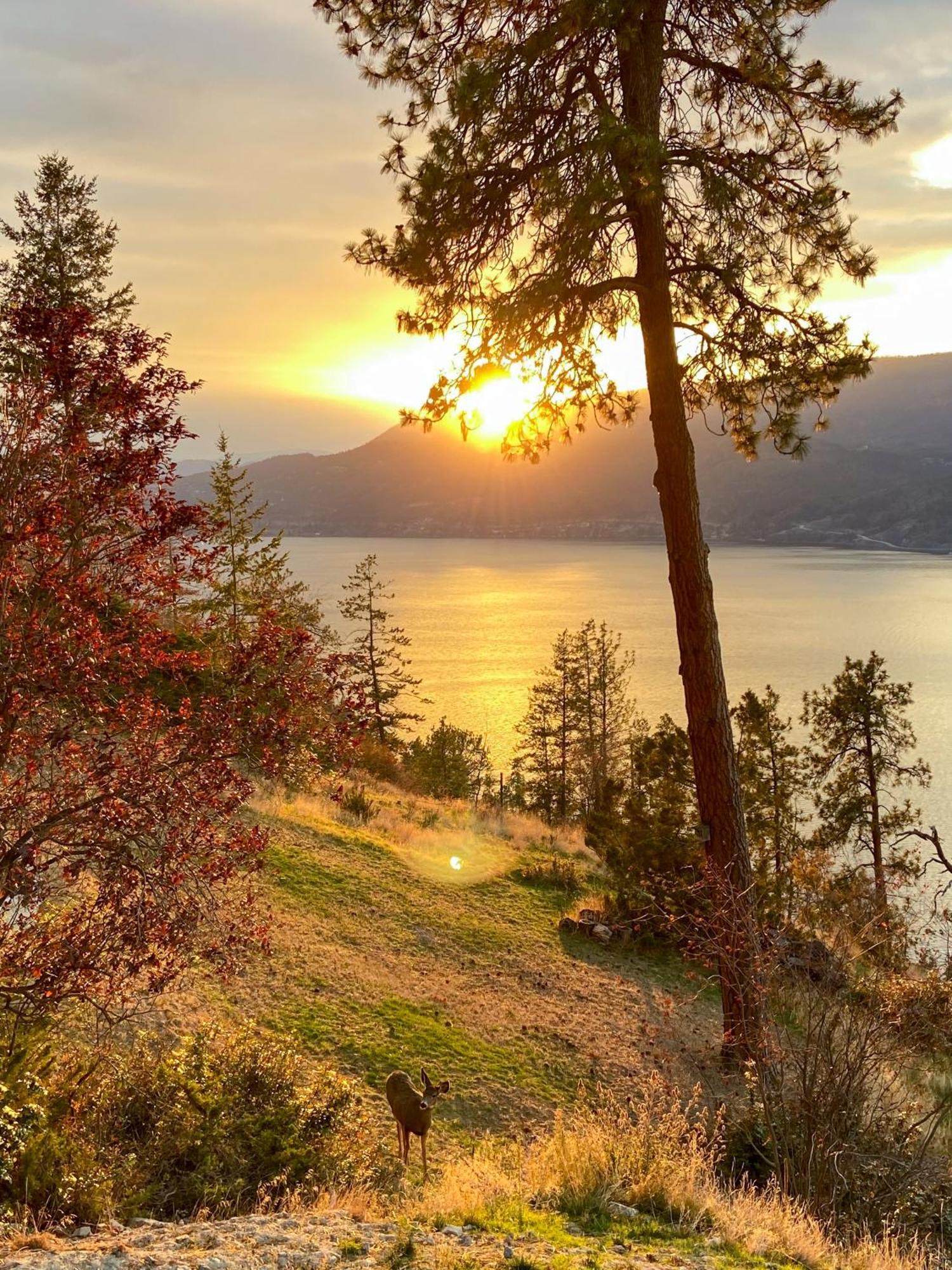Kelowfornia Lakeview Retreat Келоуна Экстерьер фото